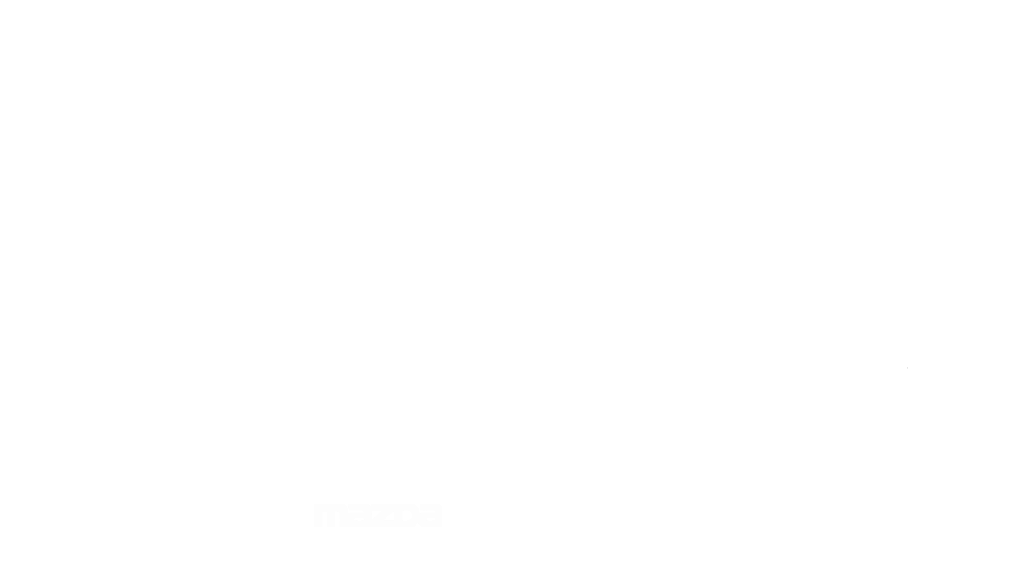 Tom Bush Family of Dealerships Logo